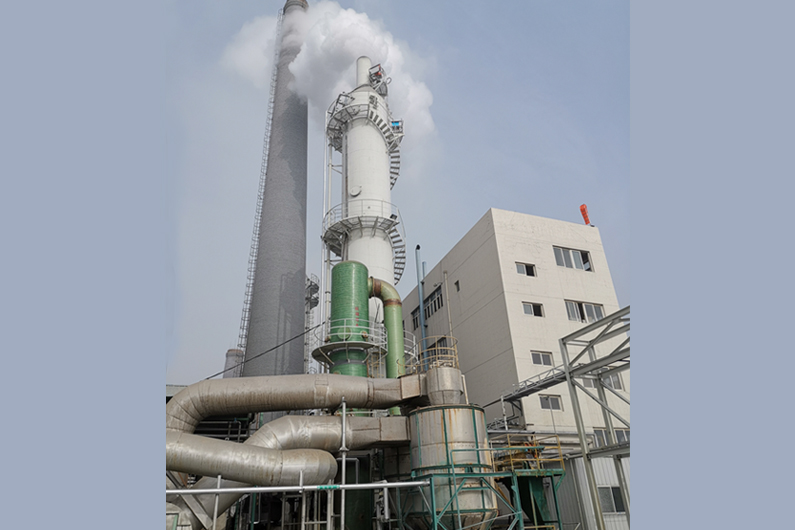 Flue gas desulfurization and denitrification