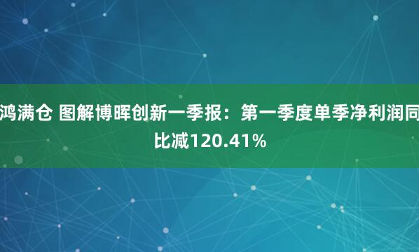 鸿满仓 图解博晖创新一季报：第一季度单季净利润同比减120.41%