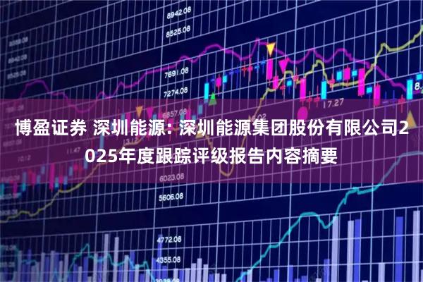 博盈证券 深圳能源: 深圳能源集团股份有限公司2025年度跟踪评级报告内容摘要