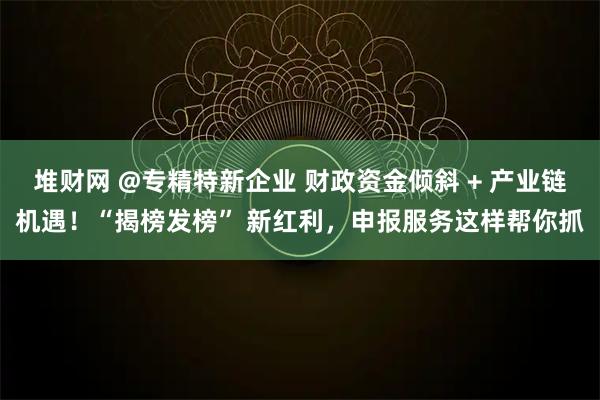 堆财网 @专精特新企业 财政资金倾斜 + 产业链机遇！“揭榜发榜” 新红利，申报服务这样帮你抓