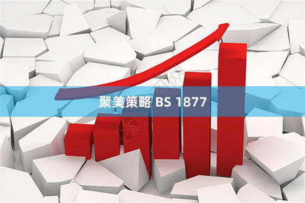 聚美策略 BS 1877