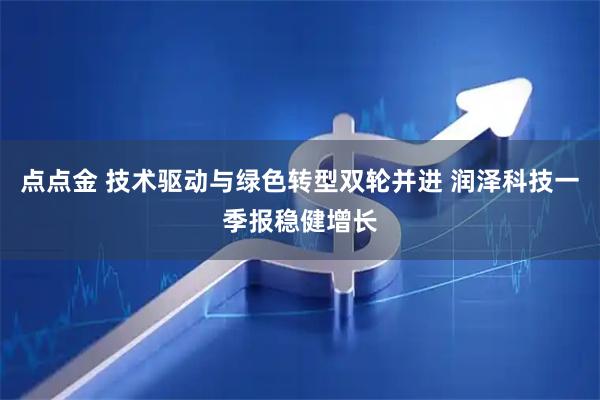 点点金 技术驱动与绿色转型双轮并进 润泽科技一季报稳健增长