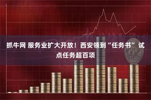 抓牛网 服务业扩大开放！西安领到“任务书” 试点任务超百项