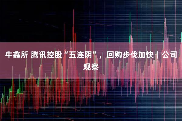 牛鑫所 腾讯控股“五连阴”,回购步伐加快|公司观察