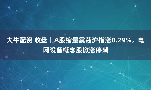 大牛配资 收盘丨A股缩量震荡沪指涨0.29%,电网设备概念股掀涨停潮
