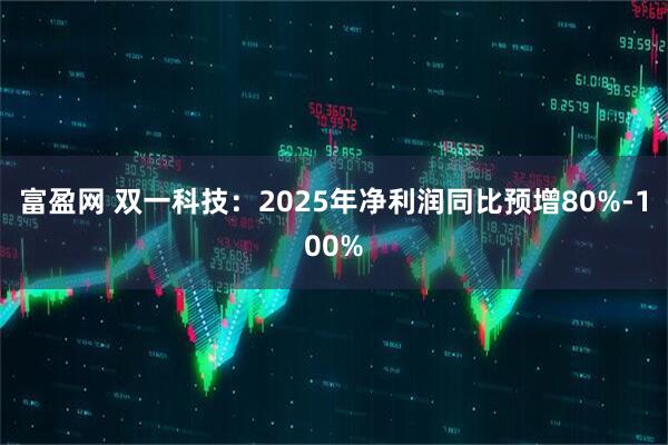 富盈网 双一科技：2025年净利润同比预增80%-100%