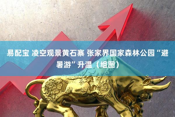 易配宝 凌空观景黄石寨 张家界国家森林公园“避暑游”升温（组图）