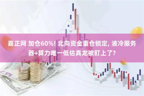 嘉正网 加仓60%! 北向资金重仓锁定, 液冷服务器+算力唯一低估真龙被盯上了?